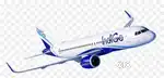 350+ seats Hiring Male Female Candidates in INDIGO AIRLINES