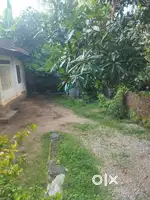 8 cent square  nice plot for sale near KSEB office peyad