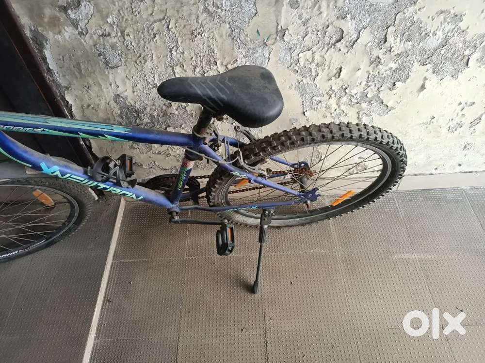 Single Gear Bicycle