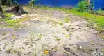 7 cent plot ചേർത്തല തങ്കി കവല കണ്ടമംഗലം ബസ് റൂട്ട്