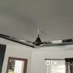 3 Cieling Fans for sale