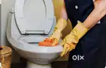 Send PROFESSOR CLEANING JOB JSNSND URGENT REQUIREMENT