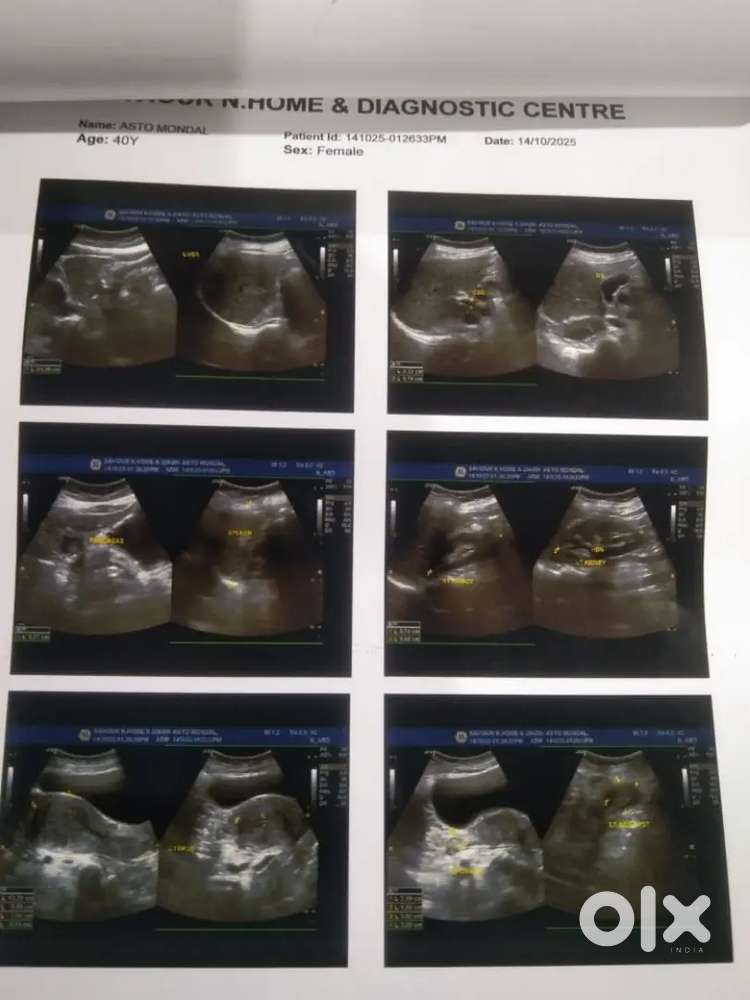 Office personal assistant manager