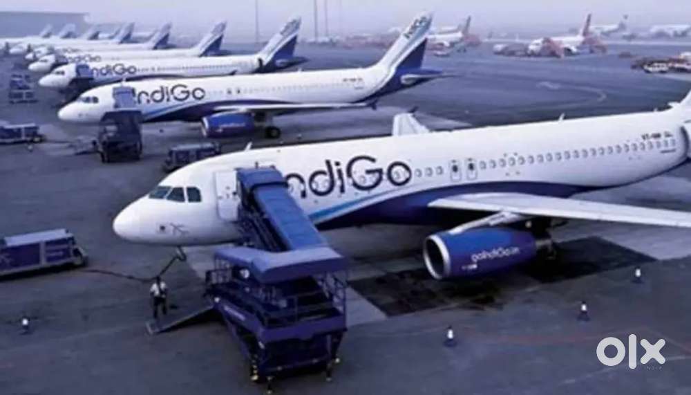 Urgent Request for Airport Jobs, Male, Female Apply Fast.