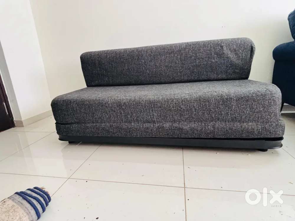 Double Sofa cum bed