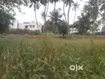 20 cents residential land for sale
