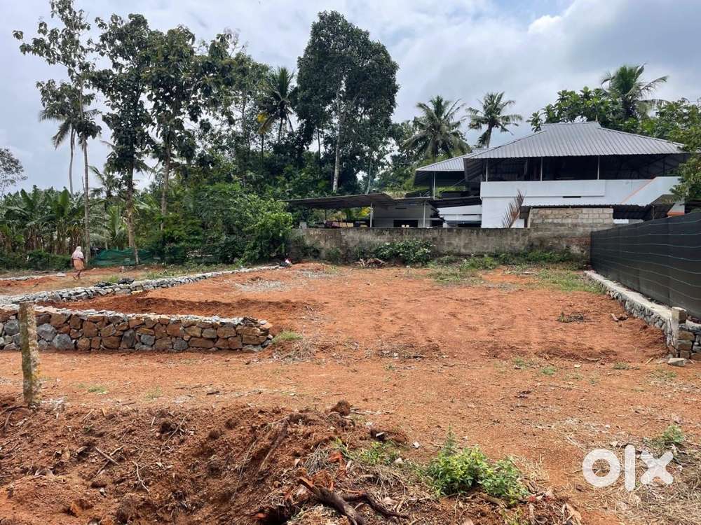 6 cent plot for sale