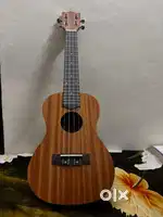 Ukelele music instrument