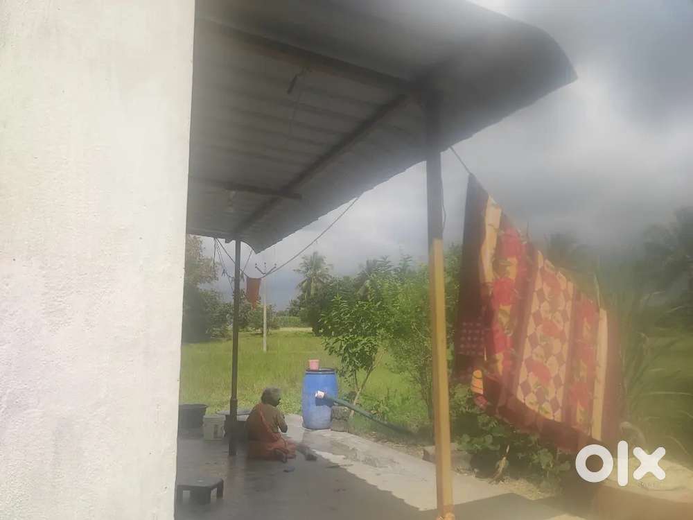 Agriculture land lease for 1year with bore well