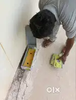 Pest control services