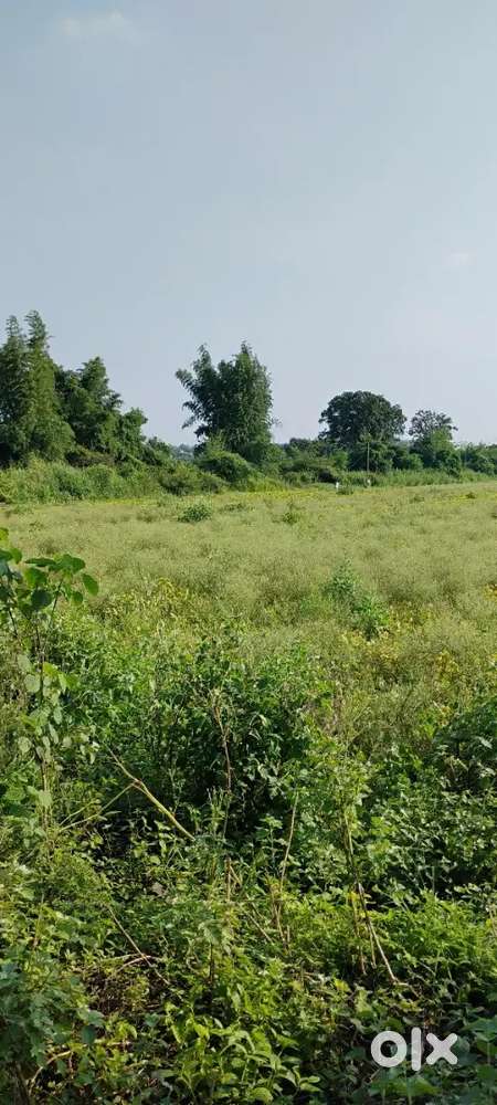 “3 ACRE PRIME LAND FOR SALE – MAUZA PIPRI, MEGHE ROAD – BEST LOCATION”