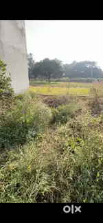 Plot only in 6,50,000 deal for small investors