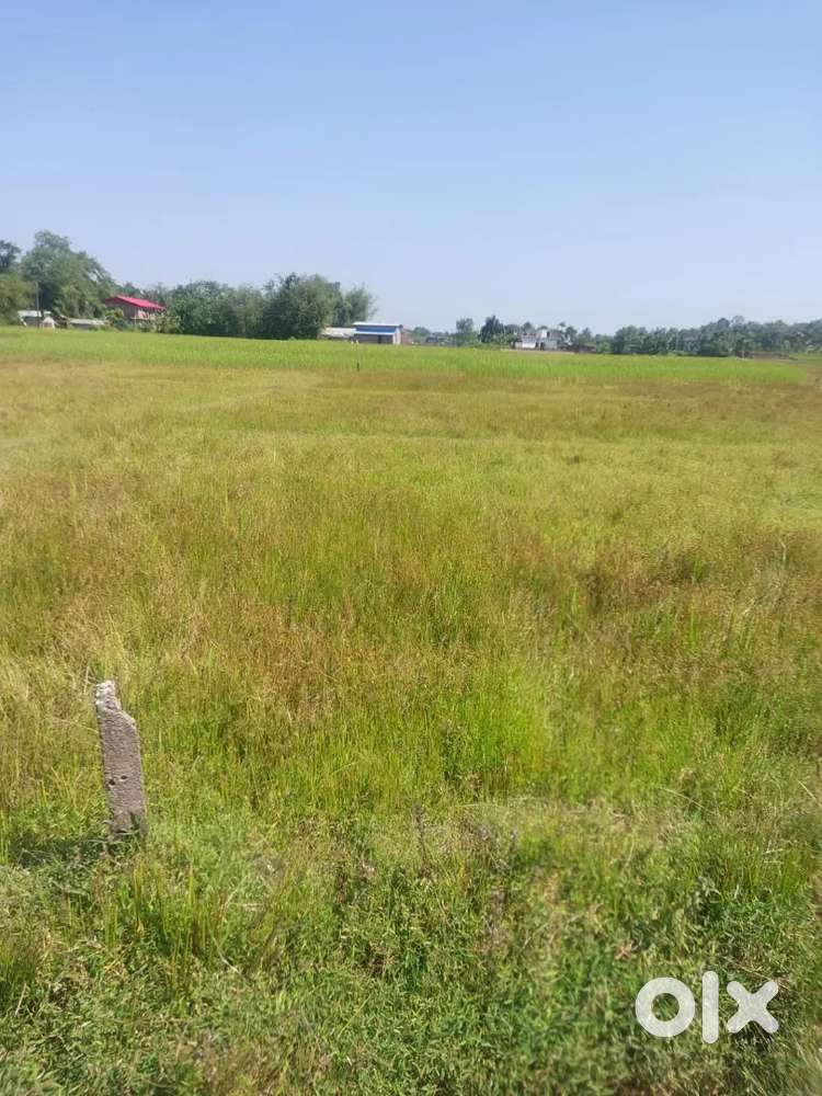Land for residential purposes will be sold at Charingia 300 m from NH