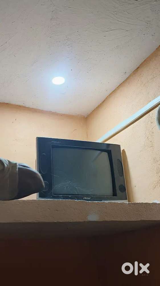 Tv h bush ki bikao hai