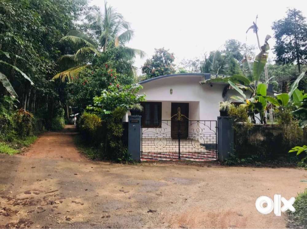 Budget house