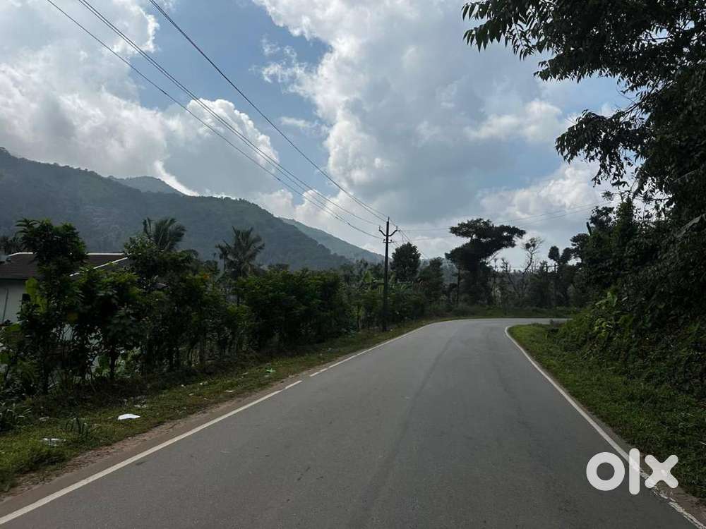 4.5 Acre Highway Approach Coffee Estate for Sale – Mudigere (Chikkamag