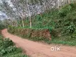RUBBER PLOT FOR SALE