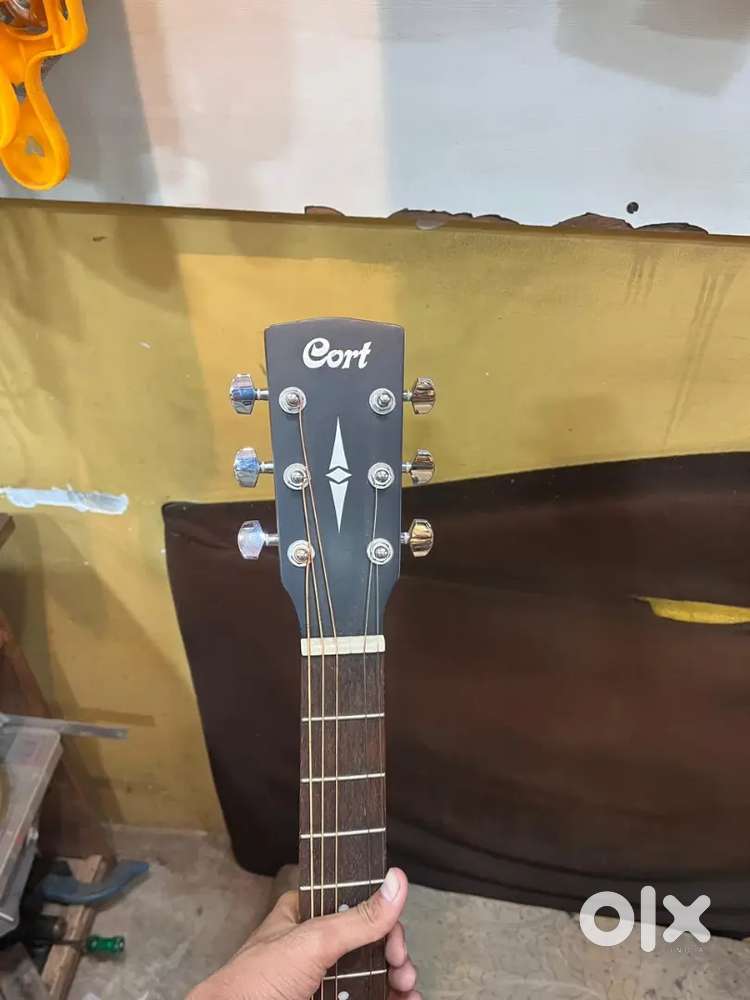 Guiter musical instruments