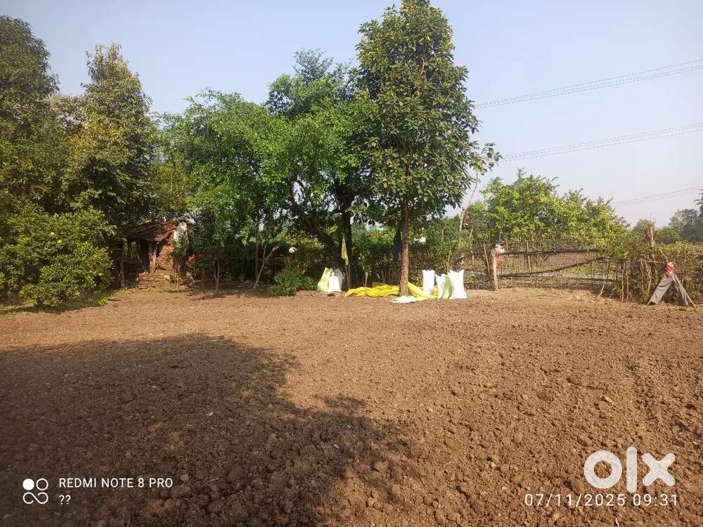 1.75 ekad jameen Dhana airport se 1 km or market se 700 Miter