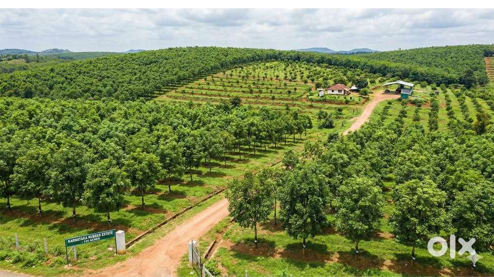 Plantation Land At Karnataka (P-01632)