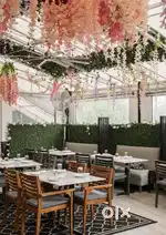 experienced chef for cafe