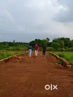 Low cost investment plot