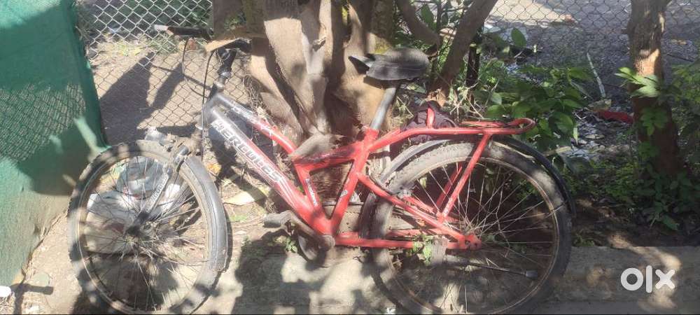 Hercules turbo drive 24x15 cycle