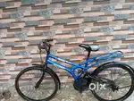 Gang mutane cycle