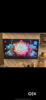 LG tv 4 years old