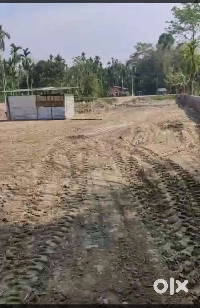 8 katha roadside plot for rent in nagaon morigaon road