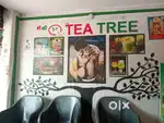 Tea tree franchise for sale