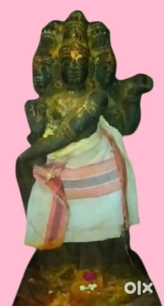 driver job for vacancy