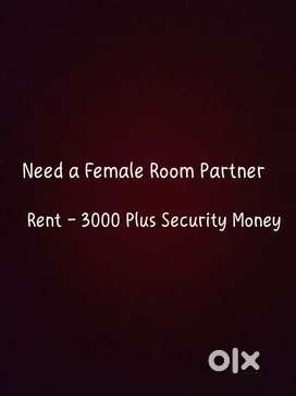 Looking for a female flatmate