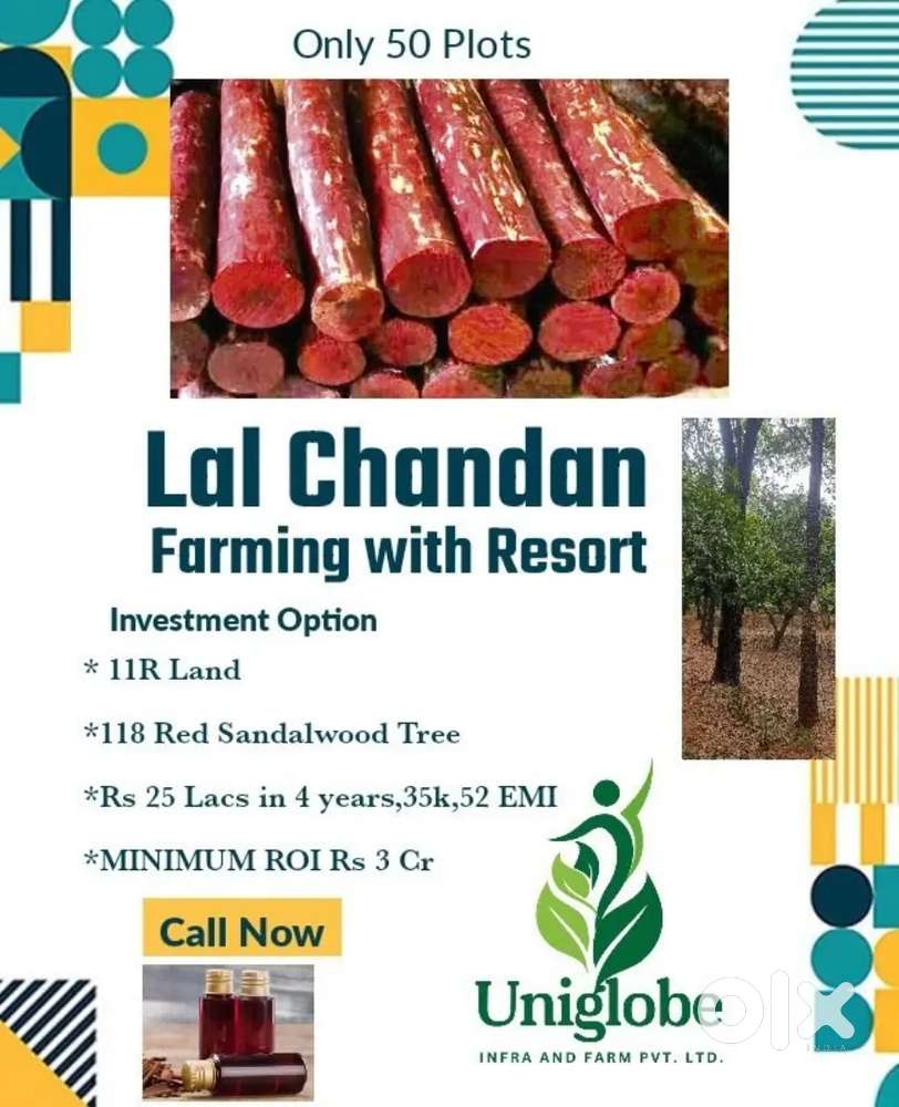 Lal Chandan with Resort and Adventure Park