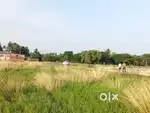 NH side project