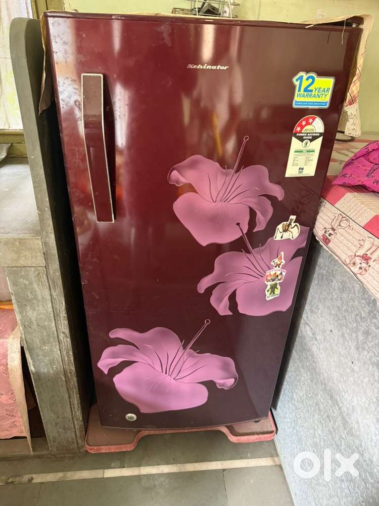 Fridge with stand