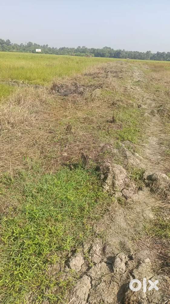 Plotted Land avlblfor sale near Kolkata Sonarpur & Siliguri Naxalbari