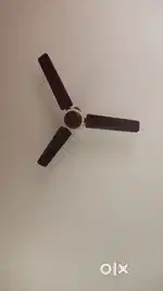 Oriental celling fan