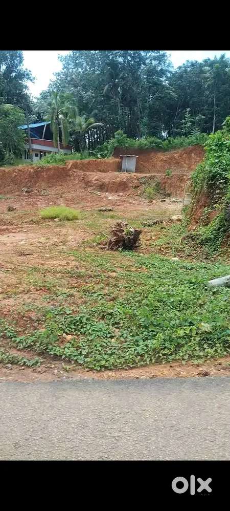 10 cent  എഴുകോൺ മുകളുവിള