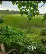 5.45 acre agricultural land 30 L