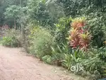 Care taker for house