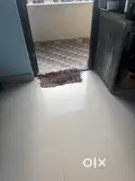 Looking for female room mate