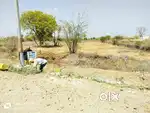 2 Bigha 6 Biswa gernal agriculture land opposite blue kingdom waterpar