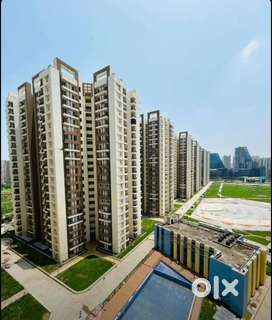 Flat for rent with beautiful view and great ambiance