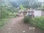 House and plot for sale