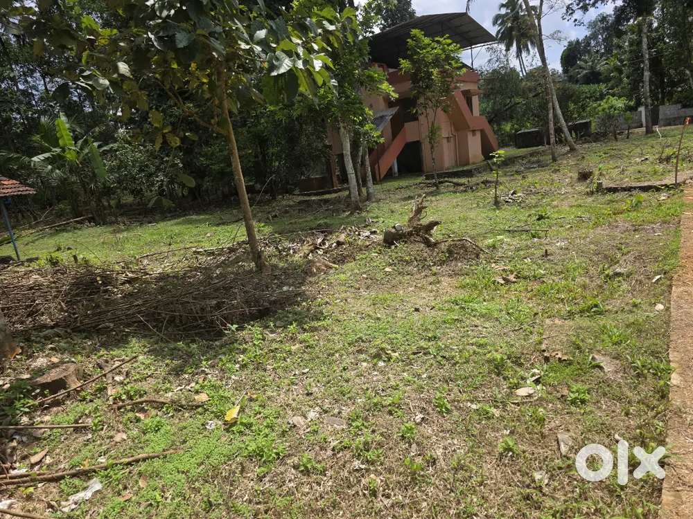 House plot for sale near konni police station 200 meeter