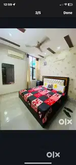 Duplex 5 bhk for rent in 104 sector mohali for everyone royal property