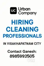 Cleaning Professionals