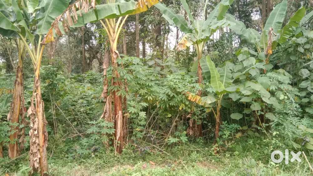 12 cent land for sales