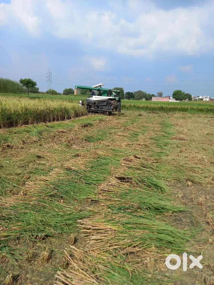 Cambin harvester